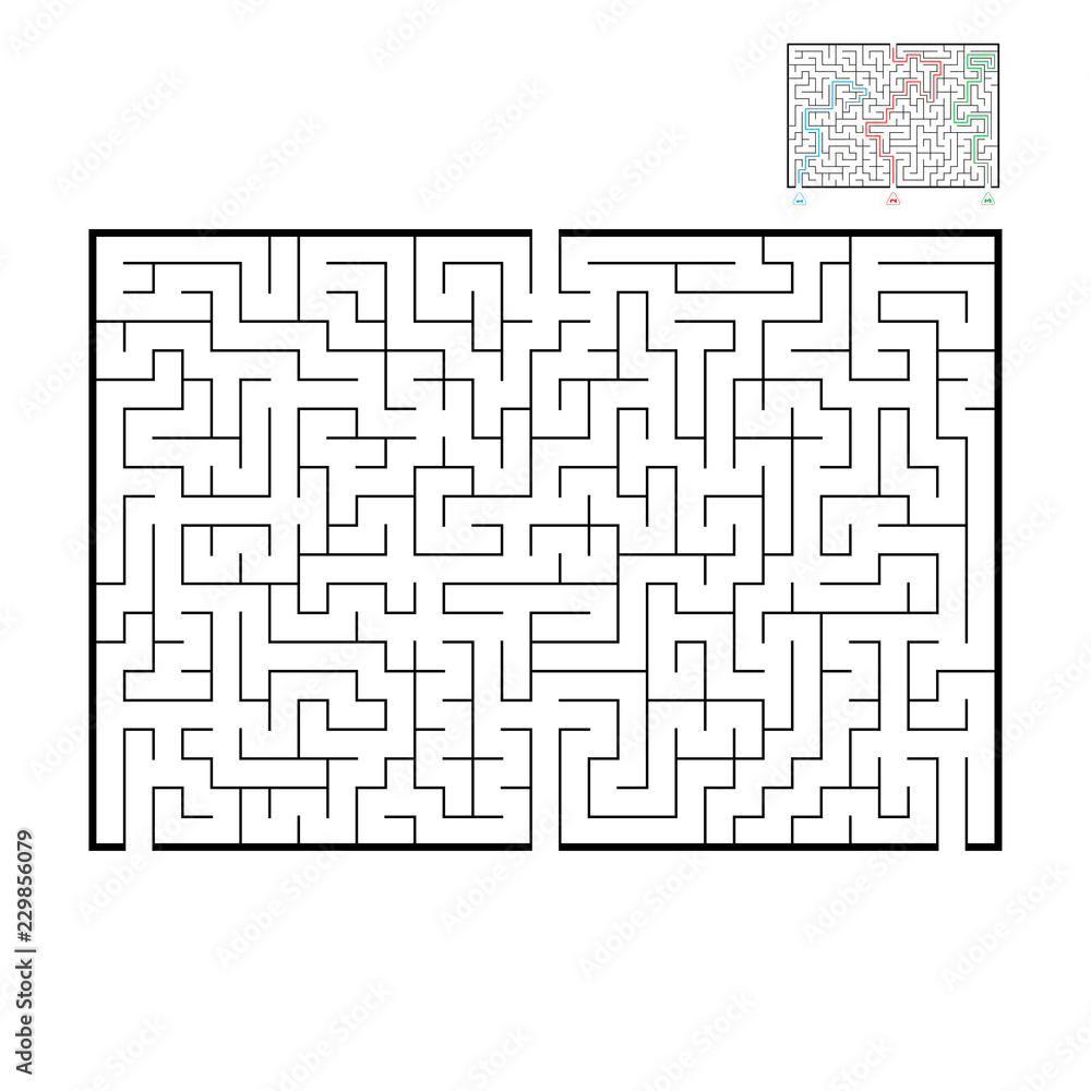 Abstract rectangular large maze. Game for kids and adults. Puzzle for children. Find the right way out. Labyrinth conundrum. Flat vector illustration.