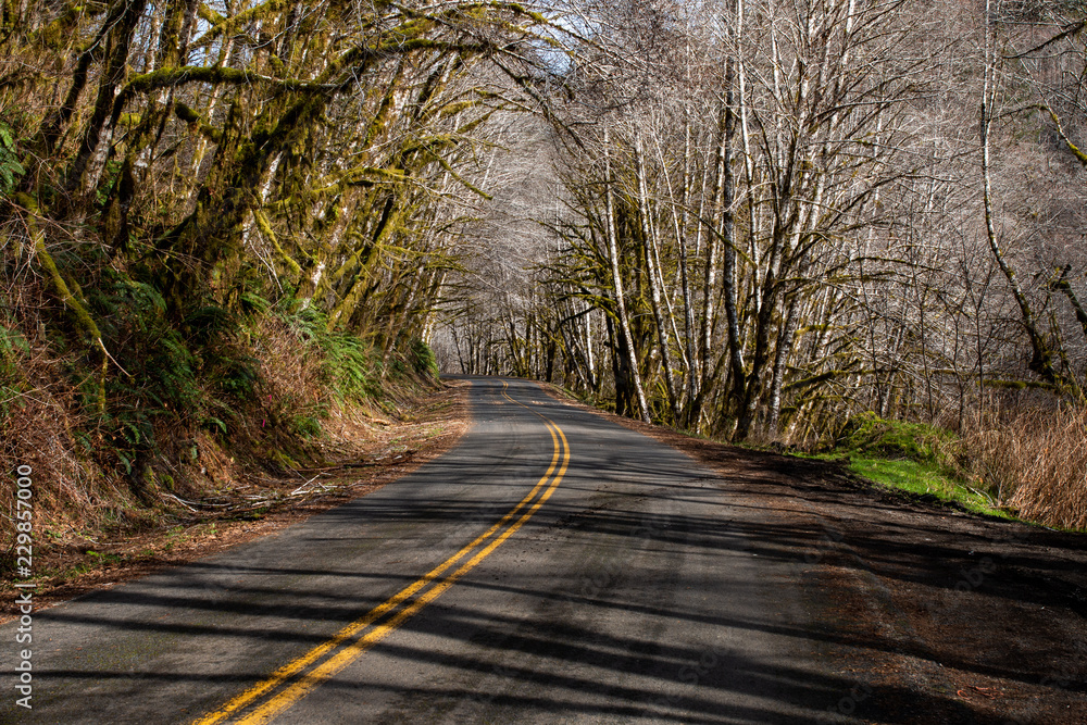 Fototapeta premium Mountain road