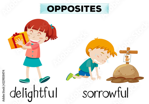 English opposite word of delightful and sorrowful