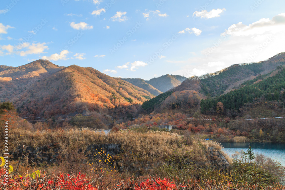 秋の奥四万湖の風景 秋の奥四万湖の風景