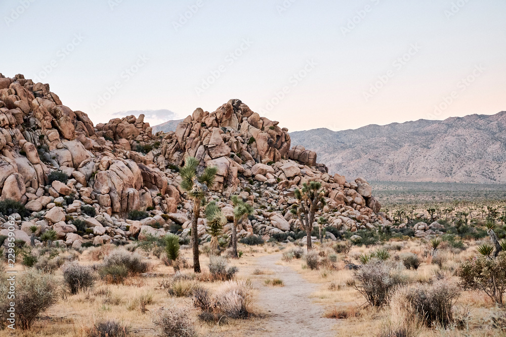 A rocky desert landscape at sunrise A rocky desert landscape at sunrise