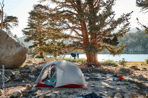 A tent set up in the back country