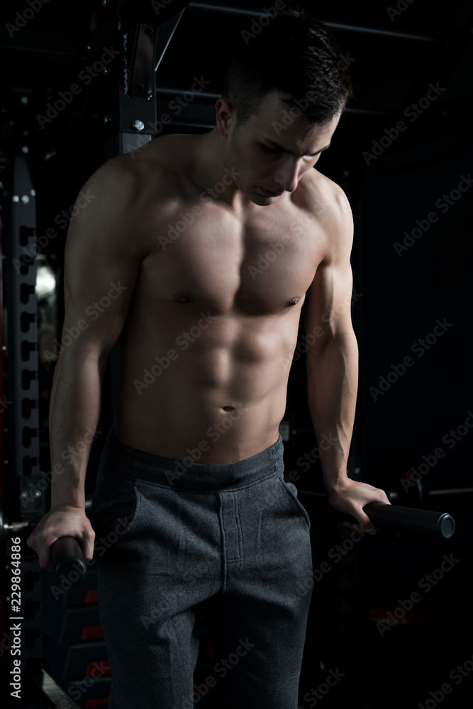 Chest And Triceps Exercise on Parallel Bars Chest And Triceps Exercise on Parallel Bars