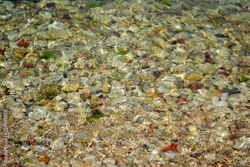 colored stones at the bottom of the sea 