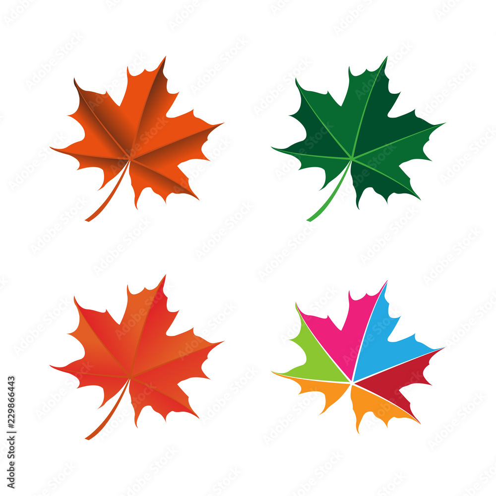 maple leaf logo icon design template vector maple leaf logo icon design template vector