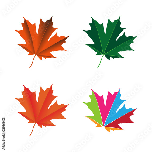 maple leaf logo icon design template vector
