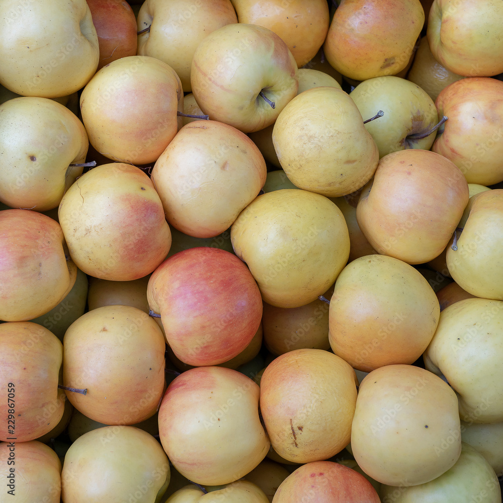 Ripe apples on a market stall. Organic apple fruits in pile at local farmers market in Tbilisi, Georgia Ripe apples on a market stall. Organic apple fruits in pile at local farmers market in Tbilisi, Georgia