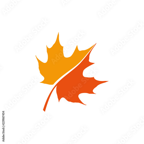 Valokuvatapetti maple leaf logo icon design template vector