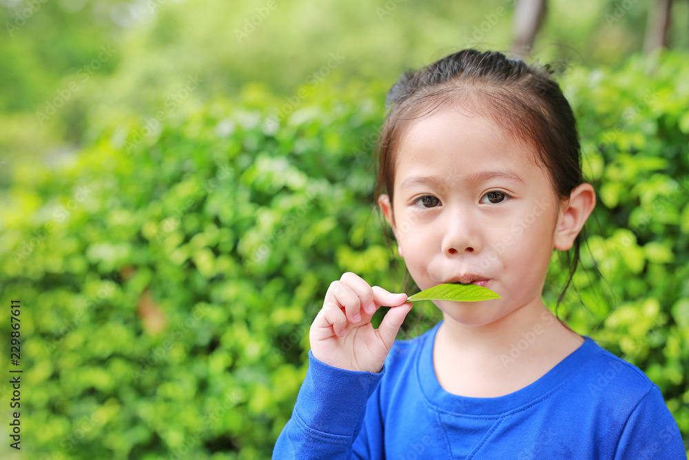 Cute Asian kid girl plays a melody by blowing air through the mouth with a leaf in the garden. Cute Asian kid girl plays a melody by blowing air through the mouth with a leaf in the garden.