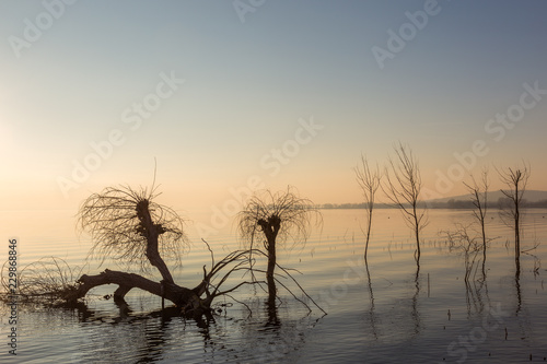 Beautiful sunset at Trasimeno lake (Umbria), with perfectly still water, skeletal trees and beautiful warm colors