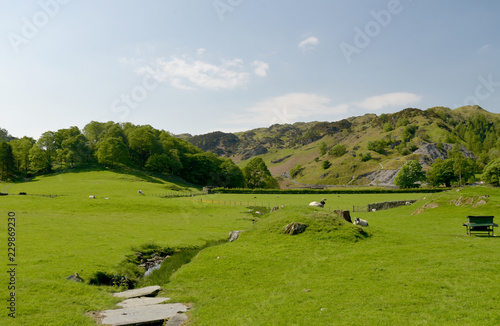 Farmland near Tilberthwaite, Lake District