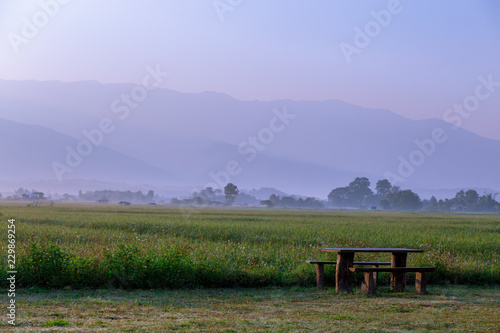 Close-up view of nature  Fields  fog  morning sun  The mountainside is a beautiful atmosphere  beautiful scenery  season and weather.