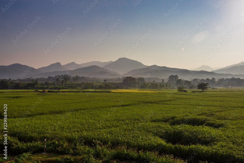Obraz premium The foggy mountain background, morning light, paddy rice field, intimate nature wallpaper, beautiful natural scenery, colorful seasonal changes.