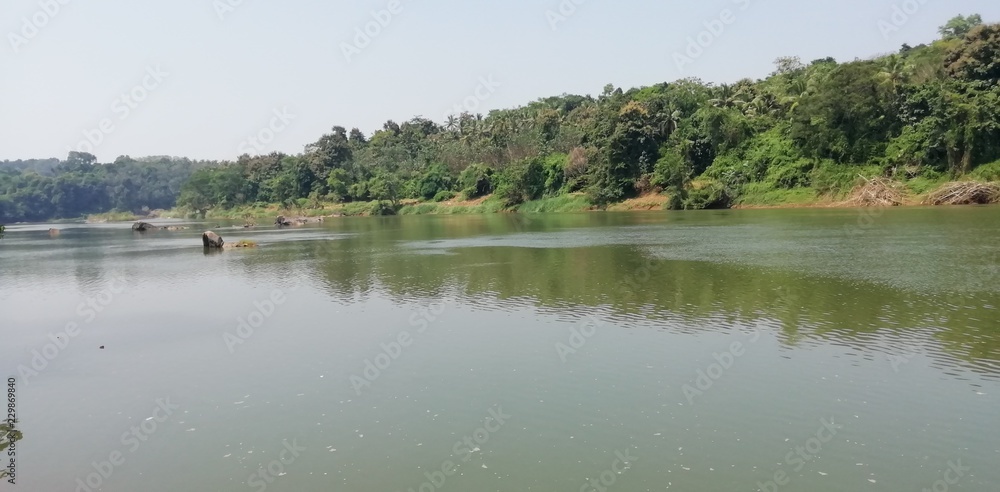 Fototapeta premium dav