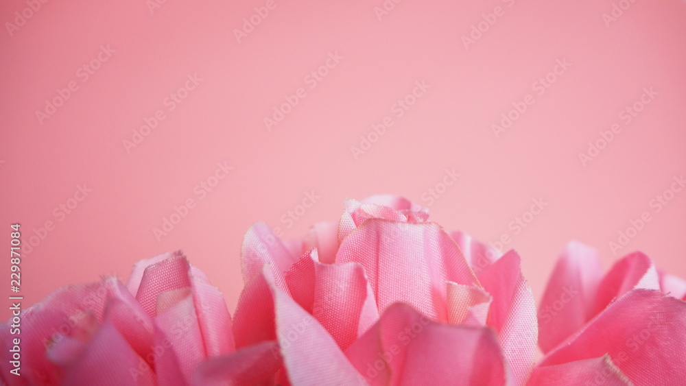 Rose flowers are on a pink background. Valentines Day Background. Rose flowers are on a pink background. Valentines Day Background.