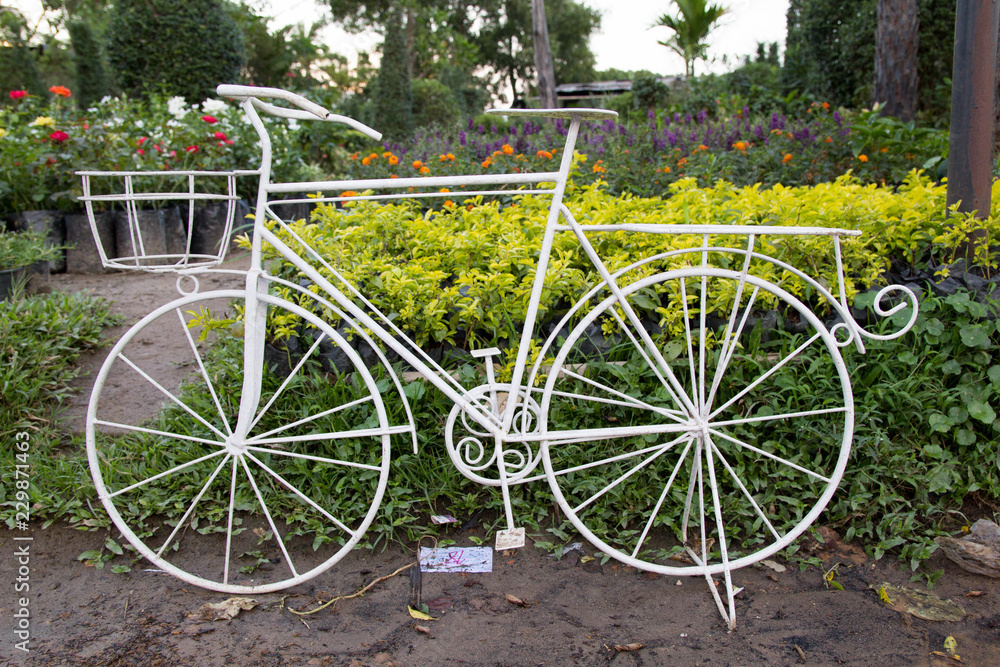 Bicycle Display in Garden
