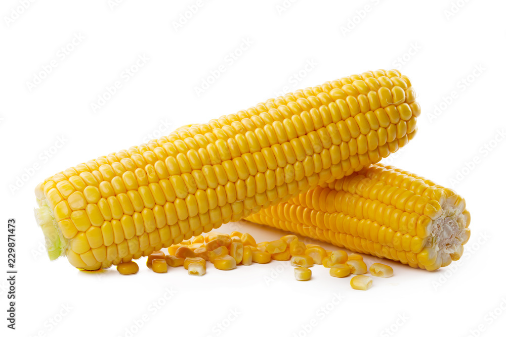 Corn on a white background Corn on a white background
