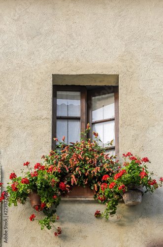 Window with curtains in the house with flowers on the windowsill