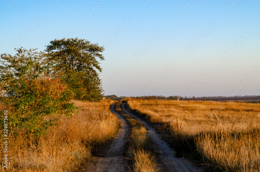 Dirt road in the steppe grass in the colors of the dawn sun Dirt road in the steppe grass in the colors of the dawn sun