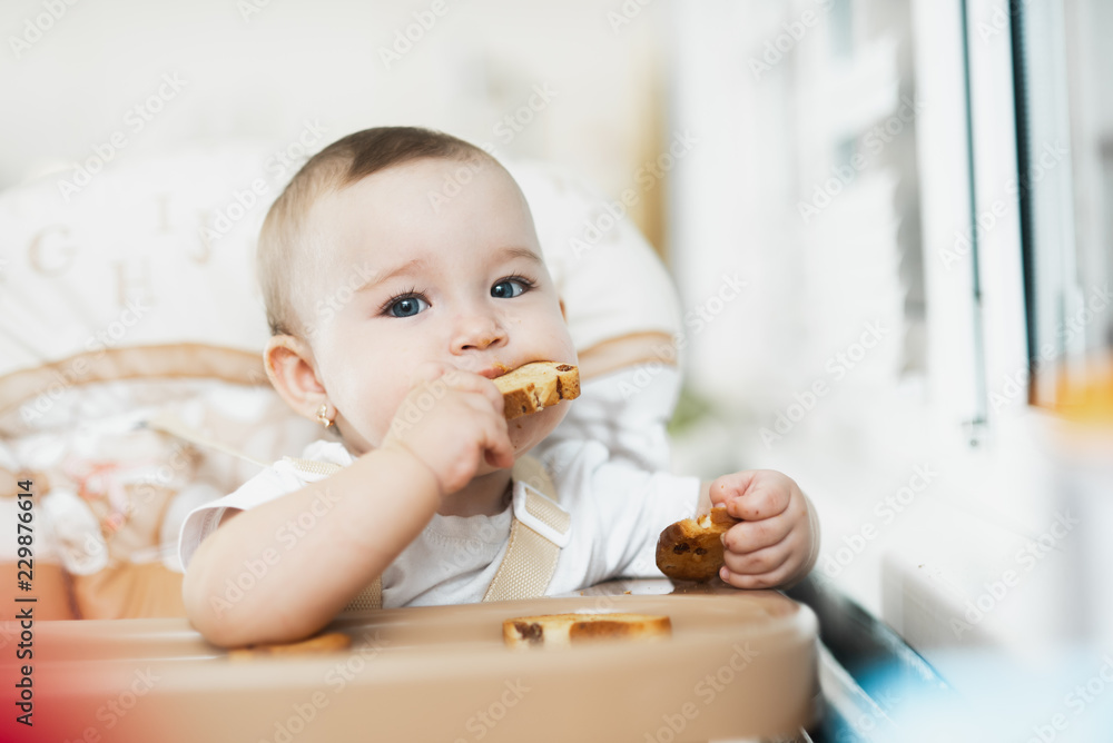Baby girl eating cracker with raisins in a chair Baby girl eating cracker with raisins in a chair