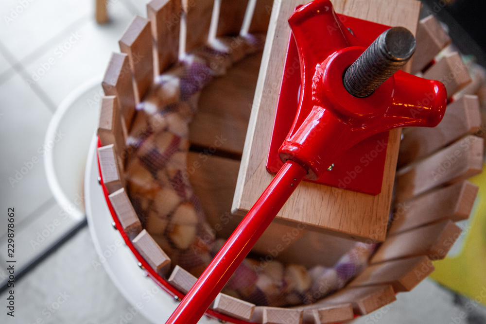 Pressing apple juice with a small apple press, before making cider with