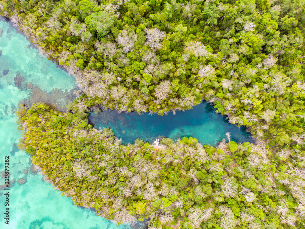 Aerial top down view tropical paradise pristine coast line rainforest blue lake at Bair Island. Indonesia Moluccas archipelago, Kei Islands, Banda Sea. Top travel destination, best diving snorkeling.