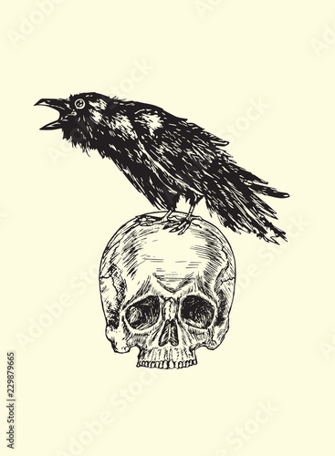 Crow with angry open beak sitting on human skull, hand drawn doodle, sketch outline, vector illustration