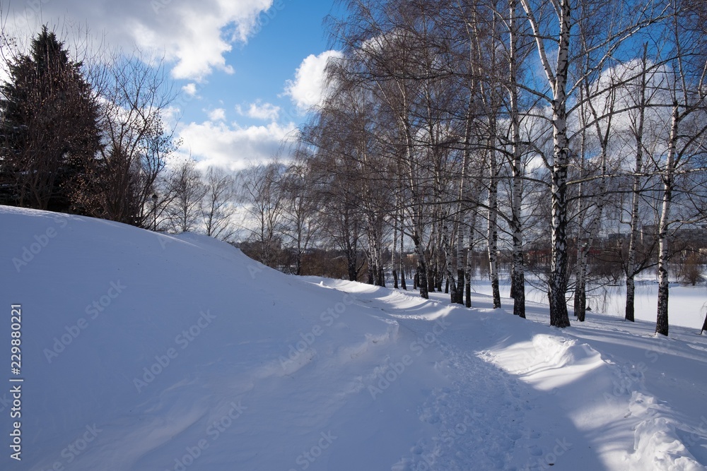 Fototapeta premium winter track in the park