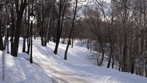 winter track in the park