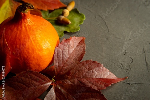 Autumn still life with leaves, pumpkin and nuts