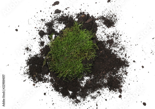 Green moss with dirt, soil isolated on white background, top view