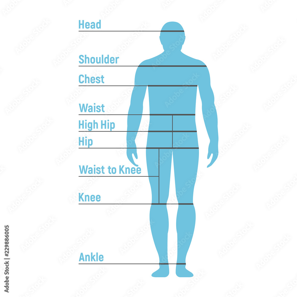 Man Size Chart. Human front side Silhouette. Isolated on White ...