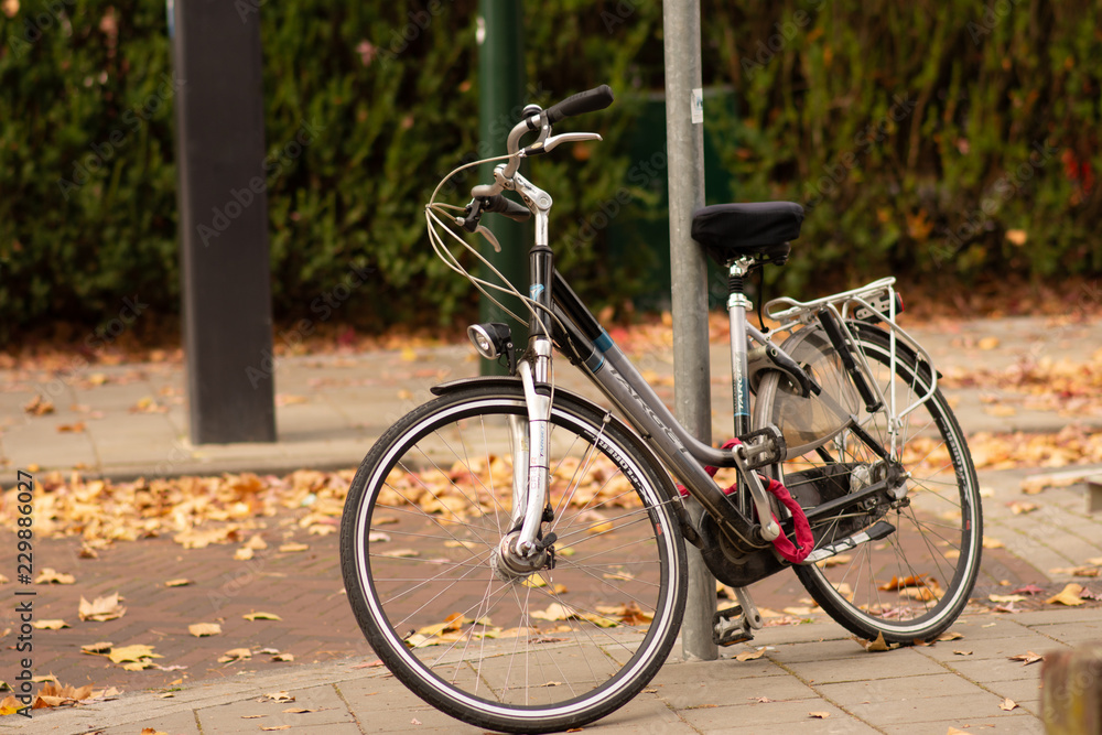 bicycle in the park bicycle in the park