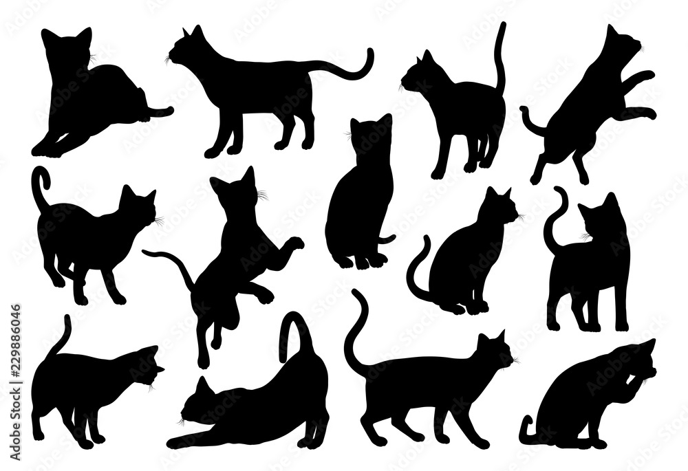 A cat silhouettes pet animals graphics set 