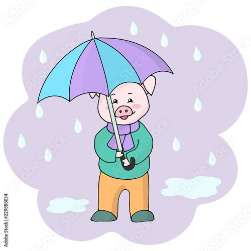 Vector piggy with umbrella in the rain