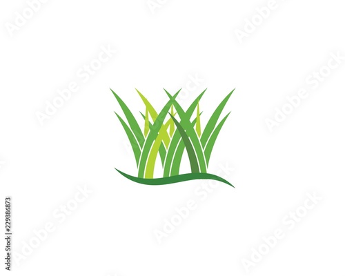 Grass logo vector