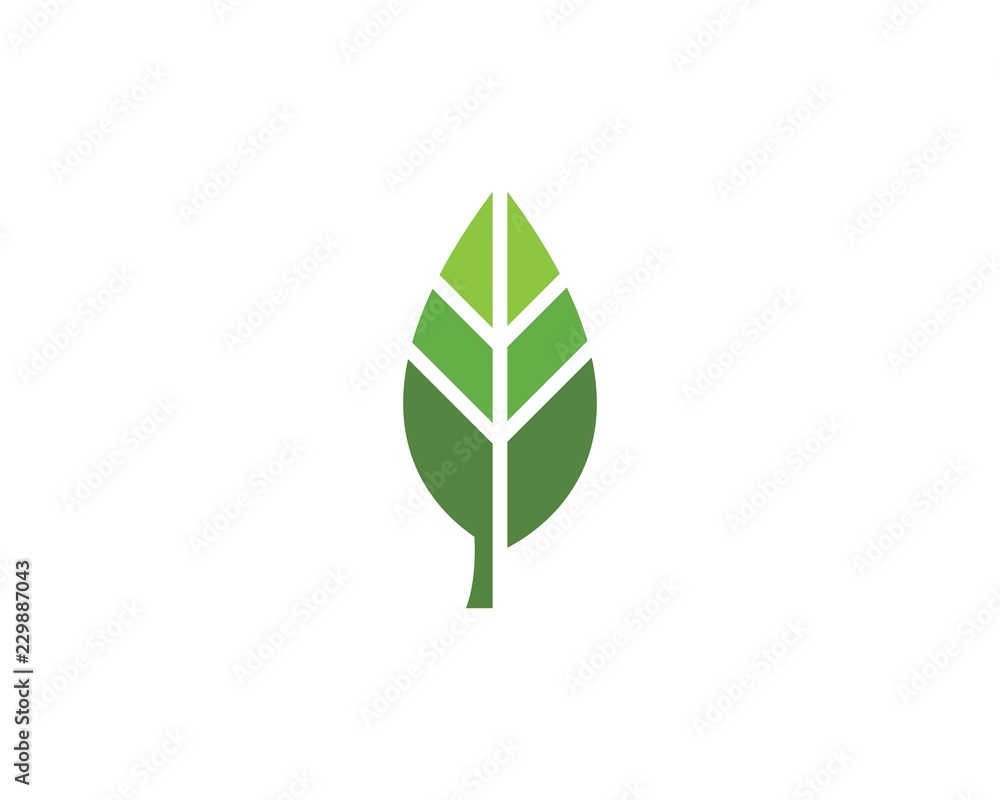 green leaf ecology nature element green leaf ecology nature element