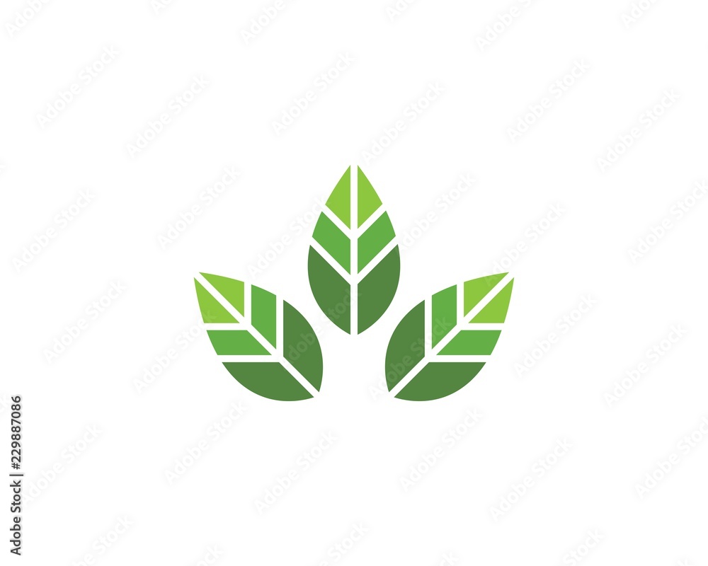 green leaf ecology nature element green leaf ecology nature element