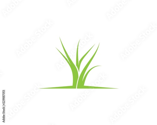 Grass logo vector