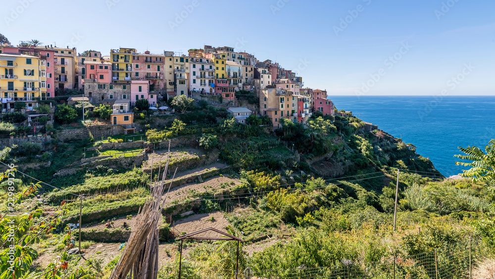 Panoramic view of Corniglia overlooking the sea, Cinque Terre, Liguria, Italy