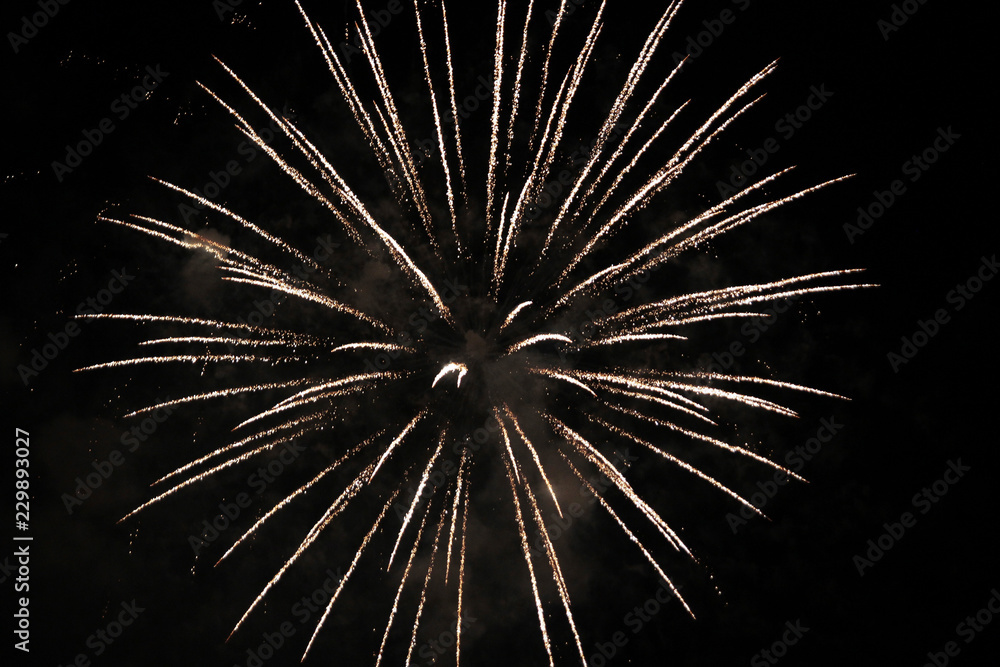Fuoco d'artificio Fuoco d'artificio