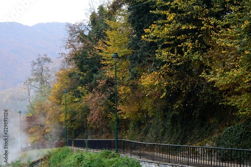landscape in autumn in the park  