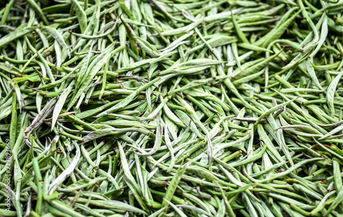 Premium grade fresh white tea leaves spread curing under shade after harvest.Close up of Chinese silver needle white tea.Premium quality green tea leaves with selective focus.