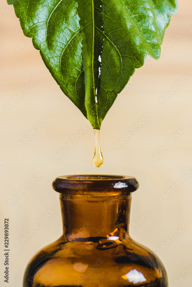 essential oil dripping from leaf into glass bottle isolated on beige - obrazy, fototapety, plakaty 