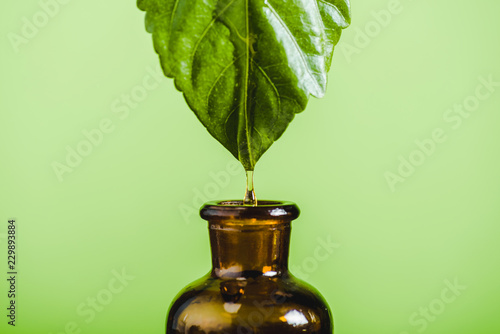 essential oil dripping from leaf into glass bottle isolated on green