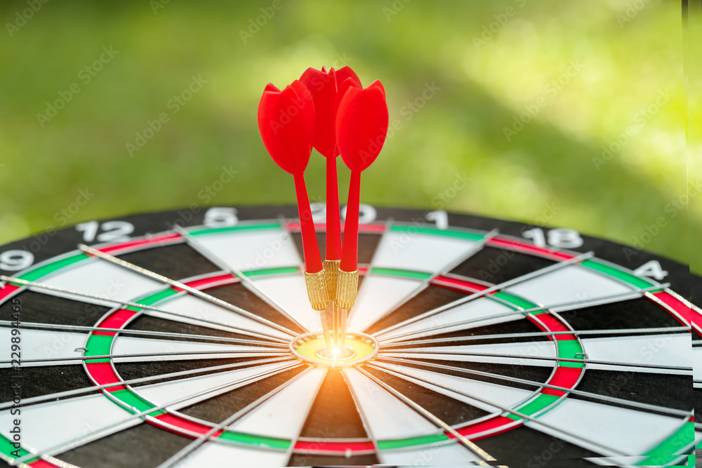 Fototapeta premium dartboard target center with arrows, idea of financial and business goal, using as background