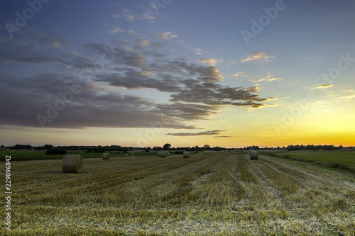 Field with hay after sunset