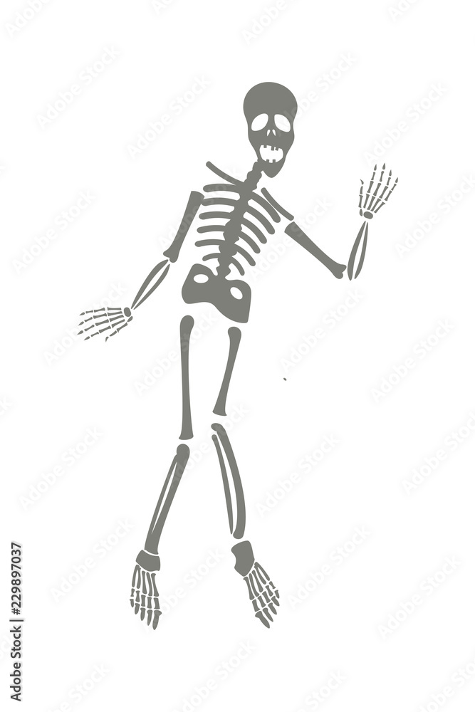 skeleton drawing halloween head - Clip Art Library