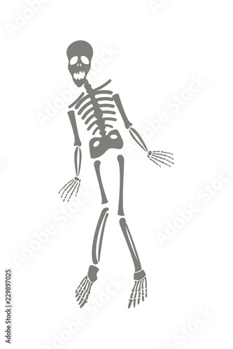 Drawing of a cute cartoon waving skeleton character. Great for Halloween or similar.