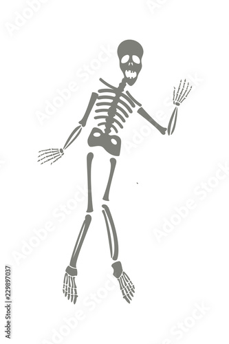 Drawing of a cute cartoon waving skeleton character. Great for Halloween or similar.